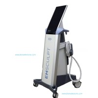 BTL EMSCULPT Classic W/ Large and Small Applicators 2024